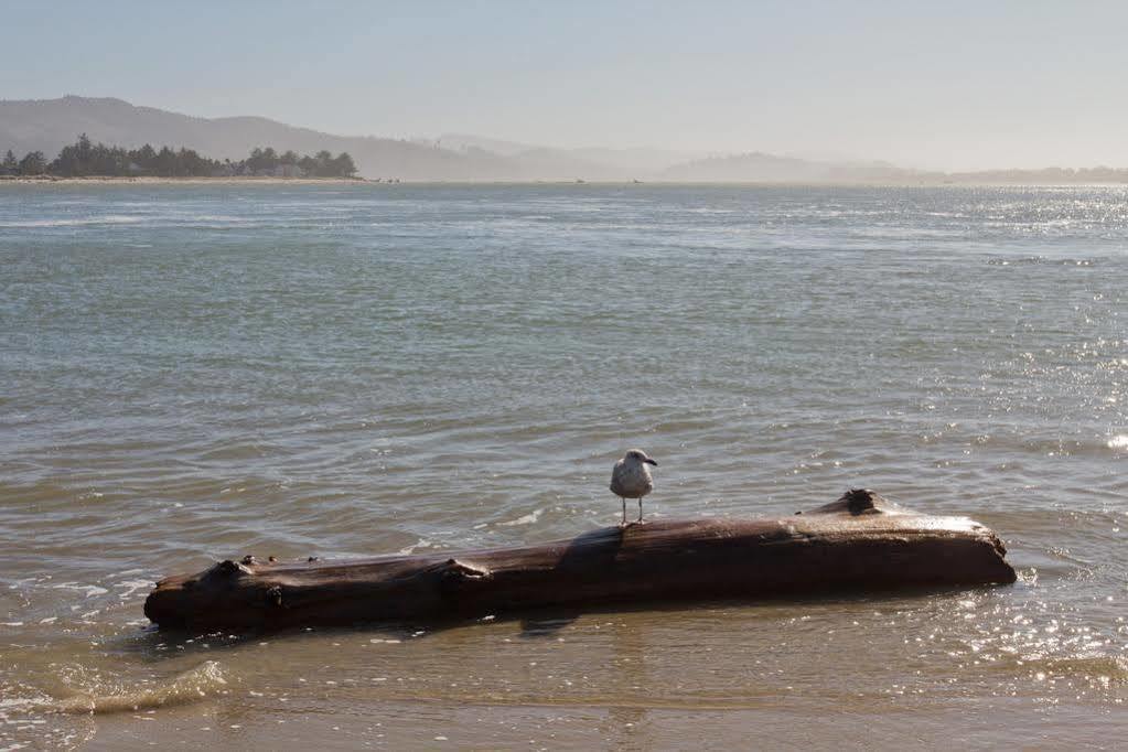 Looking Glass Inn Lincoln City Bagian luar foto